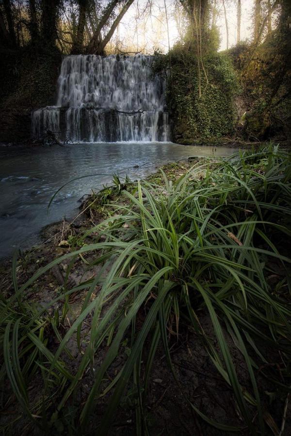 Il Molinaccio Al Rio Chiaro Villa Civitella dʼAgliano Buitenkant foto