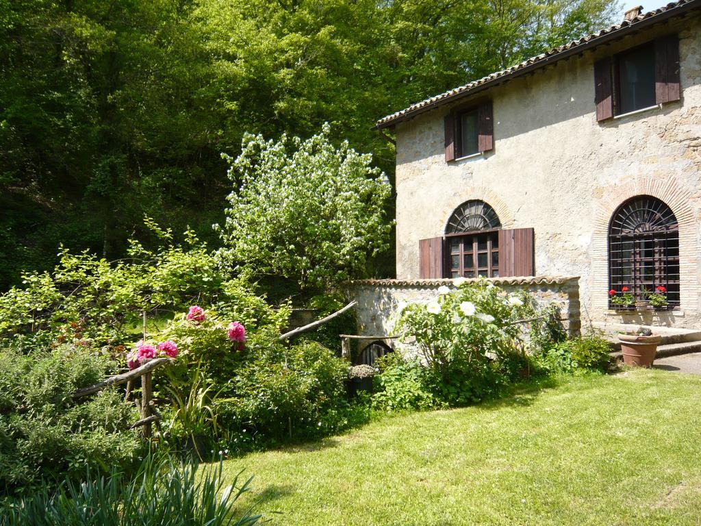 Il Molinaccio Al Rio Chiaro Villa Civitella dʼAgliano Buitenkant foto