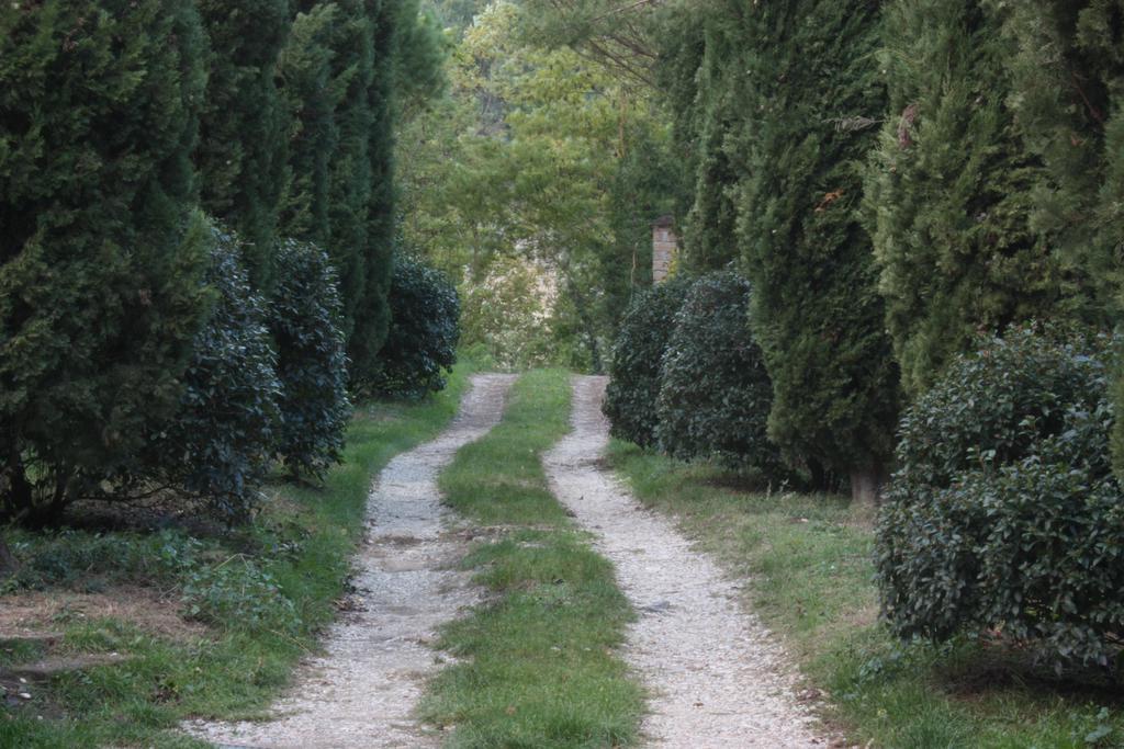 Il Molinaccio Al Rio Chiaro Villa Civitella dʼAgliano Buitenkant foto