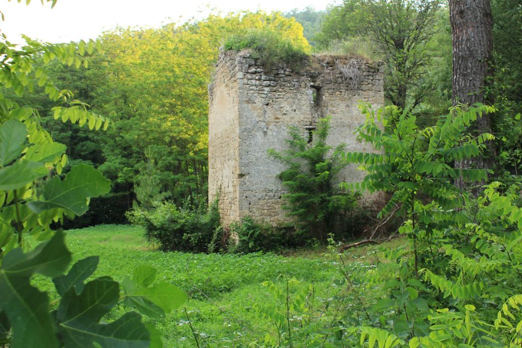 Il Molinaccio Al Rio Chiaro Villa Civitella dʼAgliano Buitenkant foto