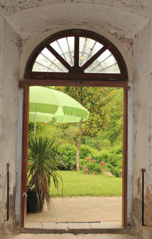 Il Molinaccio Al Rio Chiaro Villa Civitella dʼAgliano Buitenkant foto