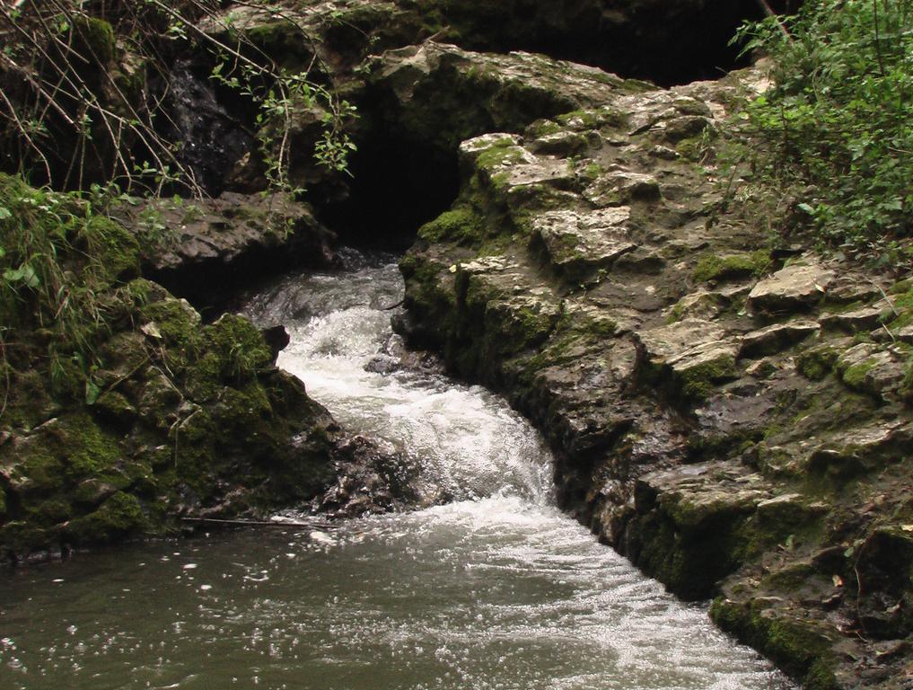 Il Molinaccio Al Rio Chiaro Villa Civitella dʼAgliano Buitenkant foto