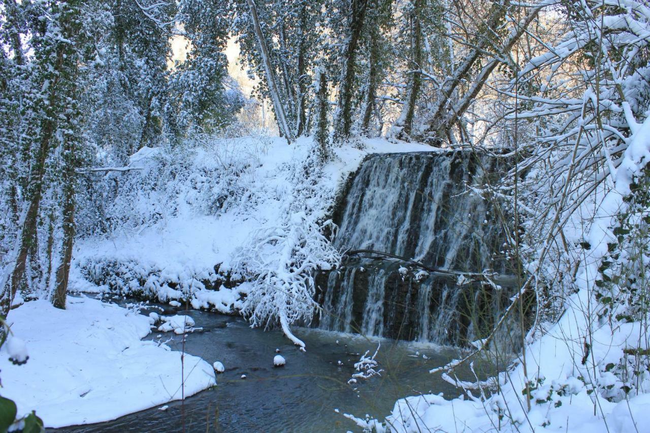 Il Molinaccio Al Rio Chiaro Villa Civitella dʼAgliano Buitenkant foto